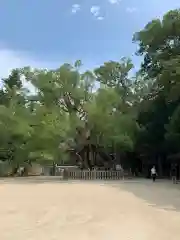 大山祇神社の自然