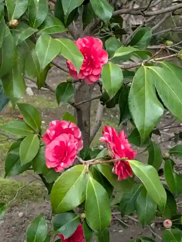 城南宮の{uncategorized: "未分類", other: "その他", undefined: "問題あり", building: "その他建物", grave: "お墓", sacred_gate: "鳥居", guardian: "狛犬", statue: "像", buddha: "仏像", history: "歴史", nature: "自然", garden: "庭園", animal: "動物", pagoda: "塔", temizu: "手水舎", mountain_gate: "山門・神門", sanctuary: "本殿・本堂", subordinate: "末社・摂社", art: "芸術", scenery: "景色", jizo: "地蔵", ema: "絵馬", goshuin: "御朱印", omikuji: "おみくじ", items: "授与品その他", amulet: "お守り", goshuincho: "御朱印帳", eats: "食事", festival: "お祭り", votive_dance: "神楽", shichigosan: "七五三参", wedding: "結婚式", experience: "体験その他", initially: "初詣", around: "周辺", anti_infection: "感染症対策"}