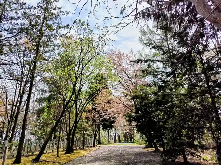 鷹栖神社の自然