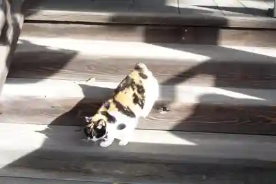 菊田神社(千葉県)