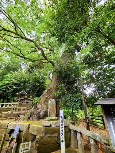生目神社の自然