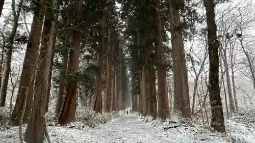 戸隠神社奥社(長野県)