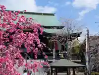 宝勝山 南藏院 蓮光寺(東京都)