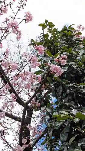 霊山観音(京都府)