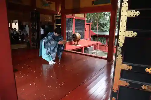 浅草神社(東京都)