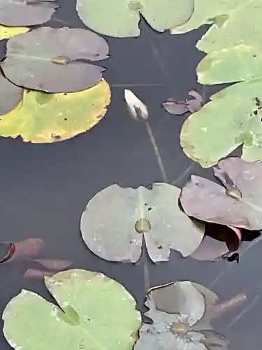 辯天寺(愛知県)