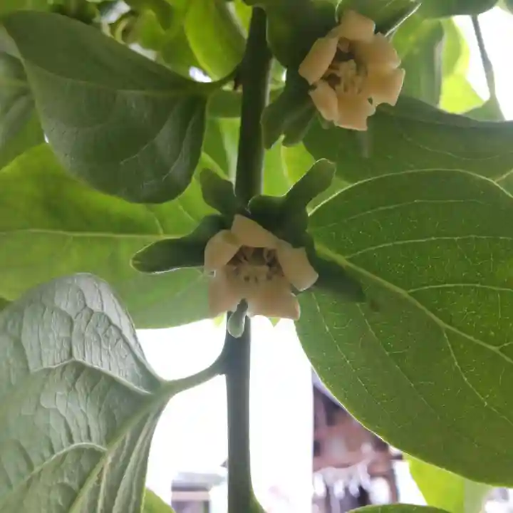 七重浜海津見神社のその他建物