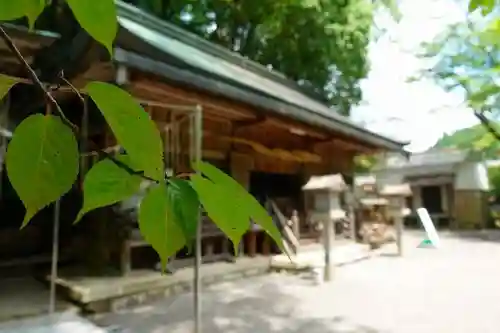 丹生川上神社（下社）の本殿