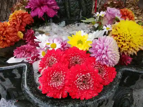 札幌諏訪神社の手水舎