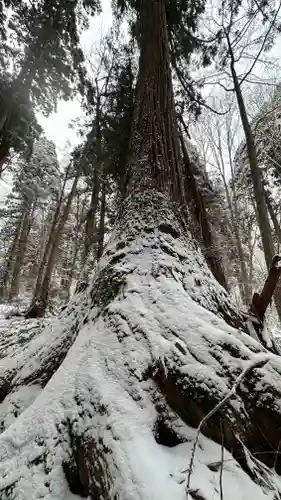 戸隠神社九頭龍社(長野県)
