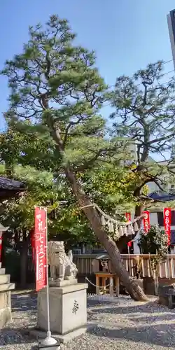 塚本神社(大阪府)