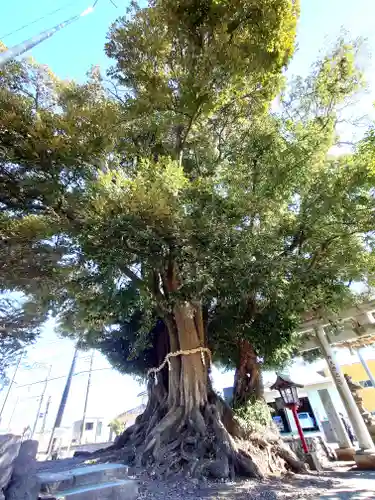 川尻八幡宮(神奈川県)