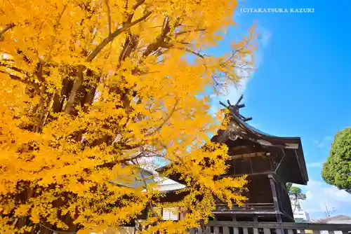 葛飾八幡宮(千葉県)