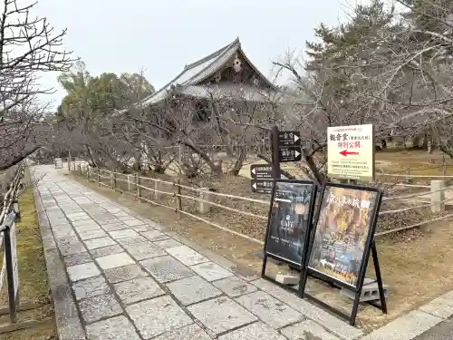 仁和寺の{uncategorized: "未分類", other: "その他", undefined: "問題あり", building: "その他建物", grave: "お墓", sacred_gate: "鳥居", guardian: "狛犬", statue: "像", buddha: "仏像", history: "歴史", nature: "自然", garden: "庭園", animal: "動物", pagoda: "塔", temizu: "手水舎", mountain_gate: "山門・神門", sanctuary: "本殿・本堂", subordinate: "末社・摂社", art: "芸術", scenery: "景色", jizo: "地蔵", ema: "絵馬", goshuin: "御朱印", omikuji: "おみくじ", items: "授与品その他", amulet: "お守り", goshuincho: "御朱印帳", eats: "食事", festival: "お祭り", votive_dance: "神楽", shichigosan: "七五三参", wedding: "結婚式", experience: "体験その他", initially: "初詣", around: "周辺", anti_infection: "感染症対策"}