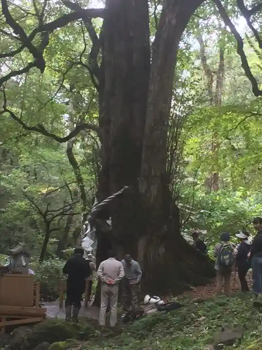 富岡神社(北海道)