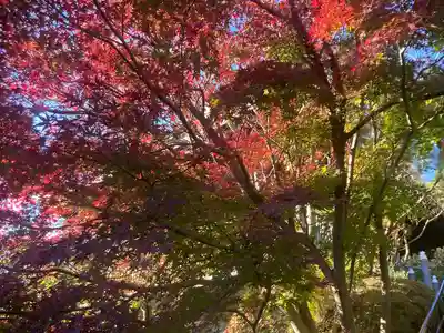 大船観音寺(神奈川県)