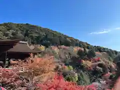 清水寺(京都府)