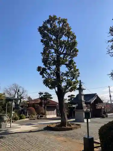 浄心寺(神奈川県)