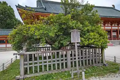 平安神宮(京都府)