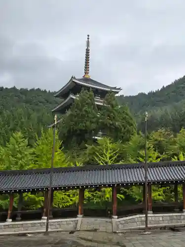清大寺(越前大仏)(福井県)