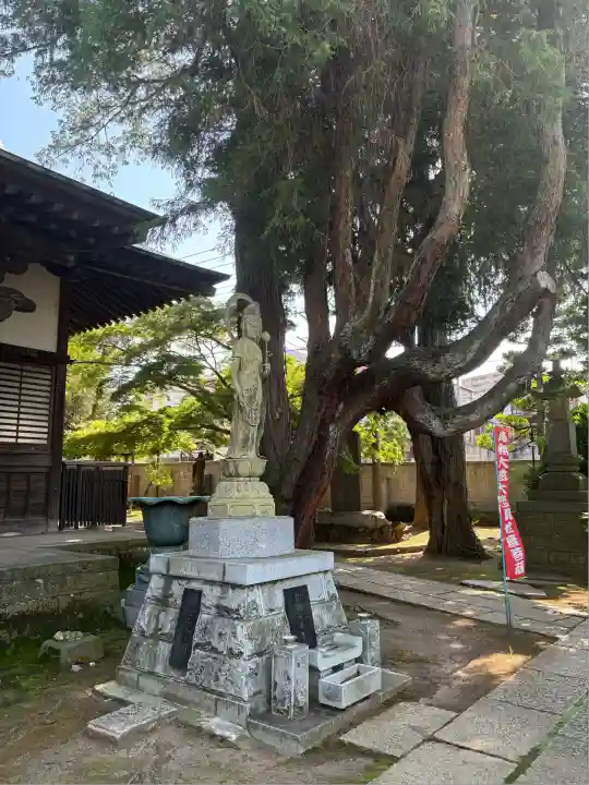 実蔵院(埼玉県)