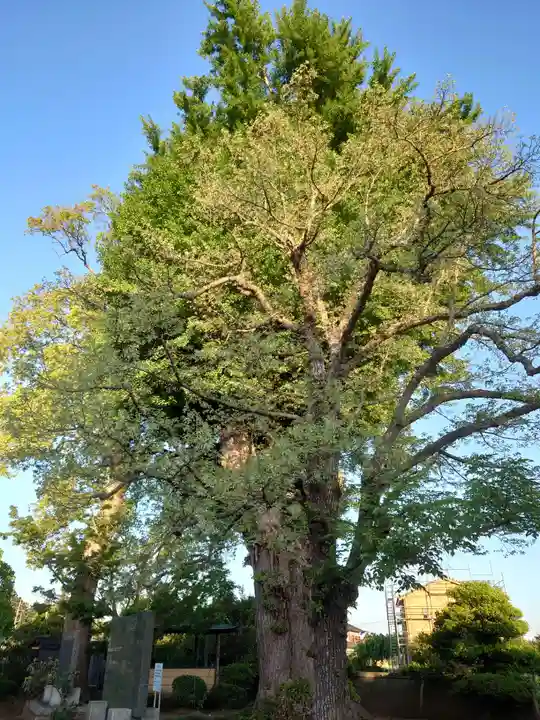 佛性寺(茨城県)