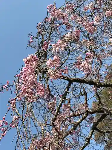 東慶寺の自然