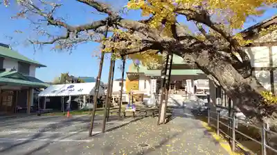豊受神社(千葉県)