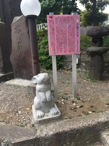 赤羽八幡神社の狛犬