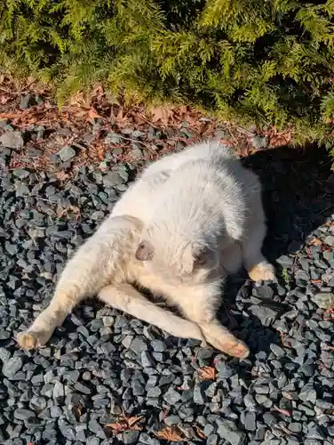 盛岡八幡宮(岩手県)