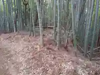 松尾神社の周辺