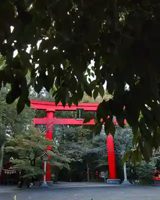 冠稲荷神社(群馬県)