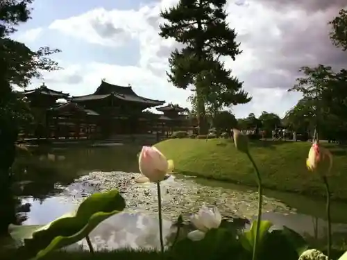 平等院の建物その他