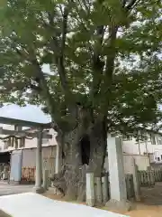 素鵞熊野神社(茨城県)