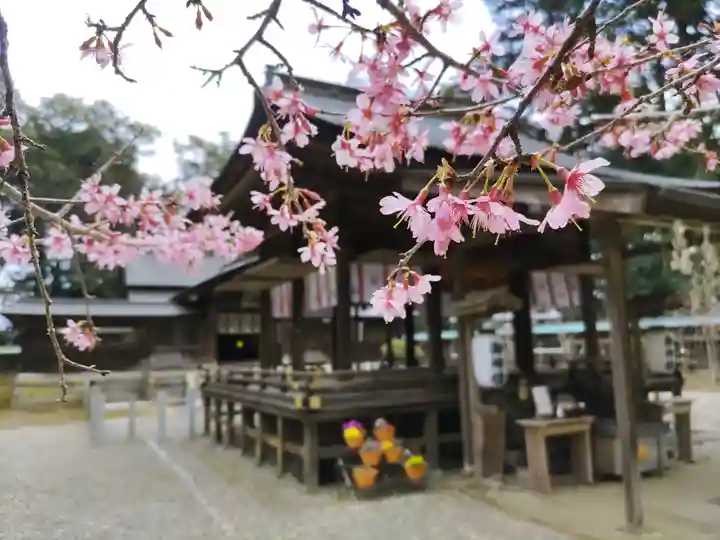 小御門神社(千葉県)