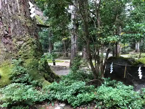 元伊勢内宮 皇大神社の自然
