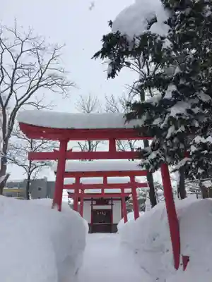 空知神社の鳥居