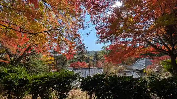 十輪寺(京都府)