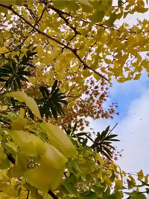 木食寺安祥院(京都府)
