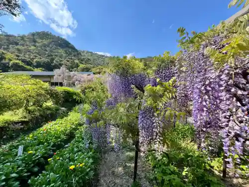 白毫寺熊野権現社(兵庫県)