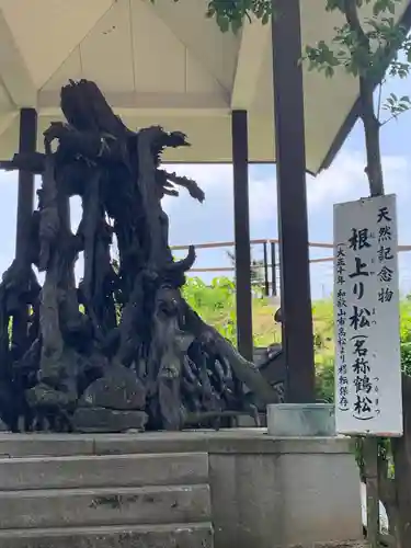 玉津島神社(和歌山県)