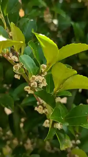 五大堂同聚院(京都府)