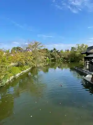 神泉苑(京都府)