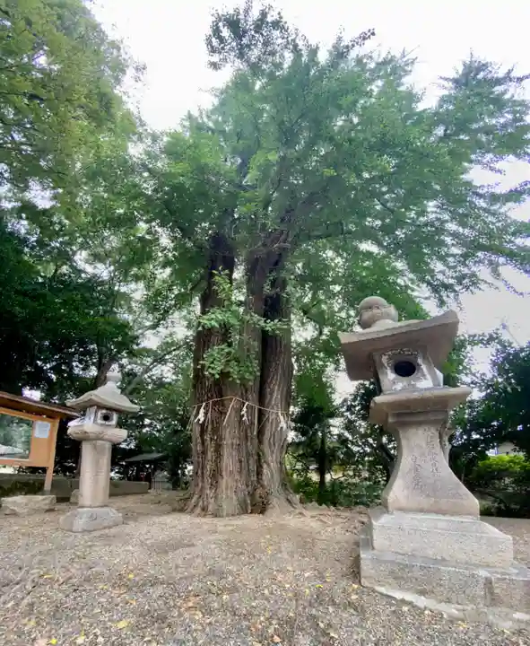 三栖神社(京都府)