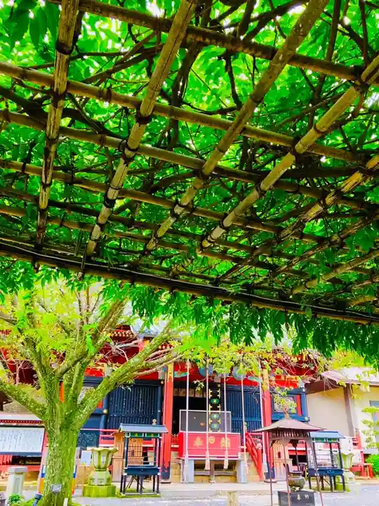 楽法寺(雨引観音)(茨城県)