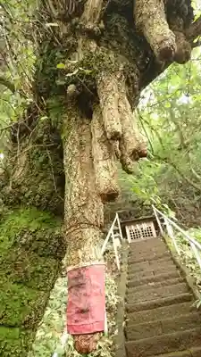 水使神社のその他建物