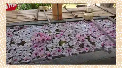 真野寺(千葉県)