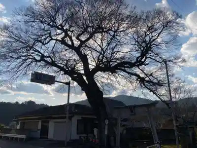 船盡比賣神社(徳島県)
