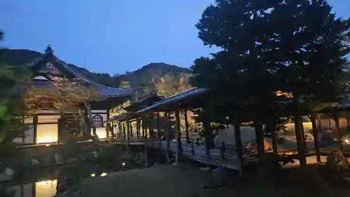高台寺（高台寿聖禅寺・高臺寺）(京都府)