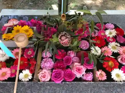 坂本八幡神社(徳島県)